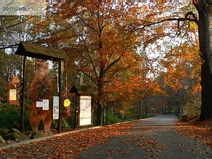 Podzim v podn ZOO Ostrava