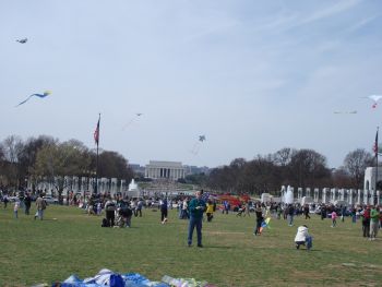 Washingon D.C.